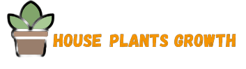 House plant Growth